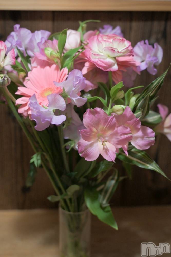 ��Į����Х��顦�����Daphne(���ե�) ��ƣ��������2��20���̥�֥����֤��꤬�Ȥ��������ޤ���🐰🫶��