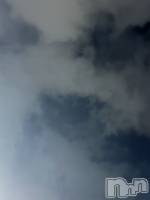 ĮХ顦Daphne(ե) ƣ(33)1119̥֥ϡġ