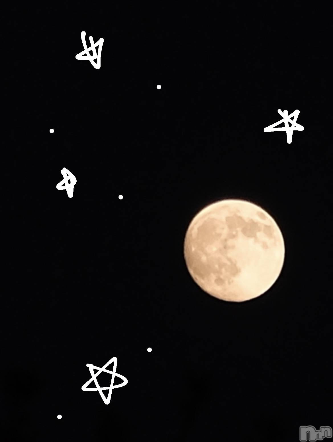 ĮХ顦Daphne(ե) 2025ǯ114̥֥֤Ĥ