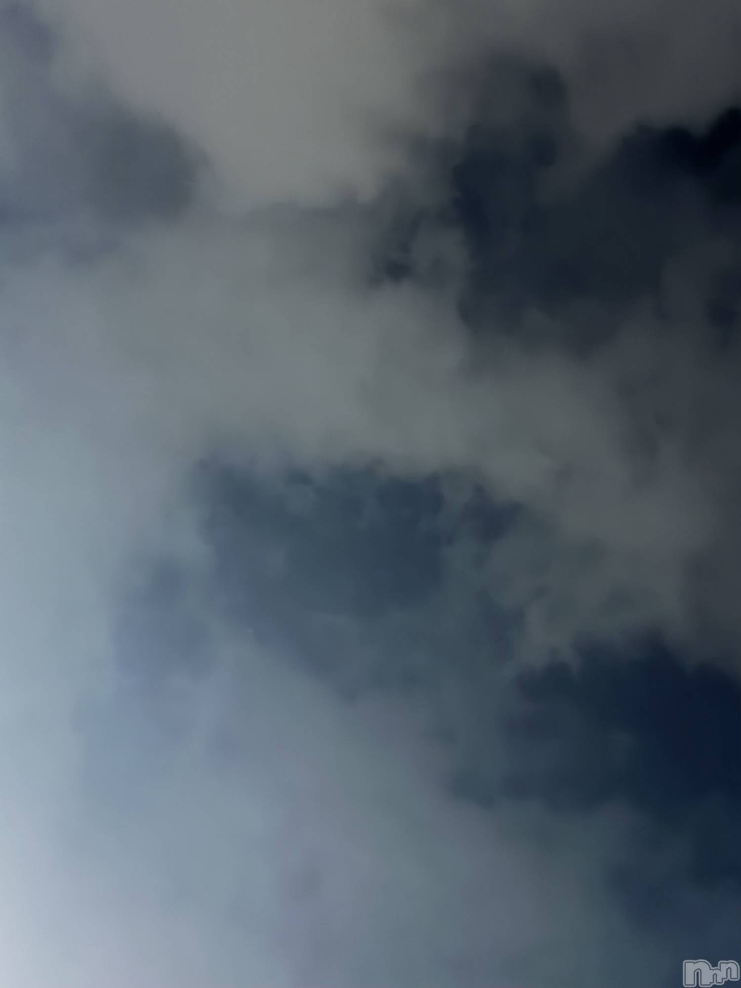 ĮХ顦Daphne(ե) 2025ǯ1119̥֥ϡġ