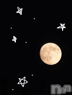 ĮХ顦Daphne(ե) ƣ(33)114̥֥֤Ĥ