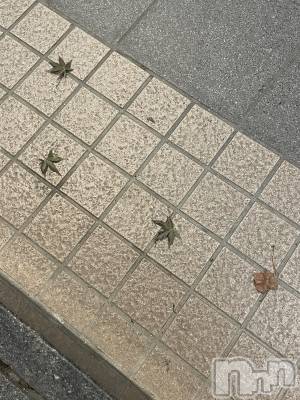 ĮХ顦Daphne(ե) ƣ(33)1113̥֥֤ߤ🍁