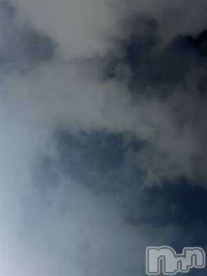 ĮХ顦Daphne(ե) ƣ(33)1119̥֥ϡġ