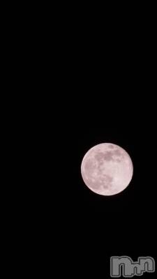 ĮХ顦Daphne(ե) ƣ(33)125ִ̥֥🐰🌕❄️