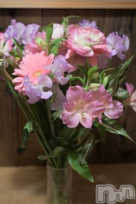 ��Į����Х��顦�����Daphne(���ե�) ��ƣ������(33)��2��20���̥�֥����֤��꤬�Ȥ��������ޤ���🐰🫶��