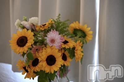��Į����Х��顦�����Daphne(���ե�) ��ƣ������(33)��7��1���̥�֥�����🐰🌻🌸🫧��