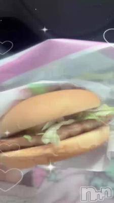 �����🐖🐖🐖