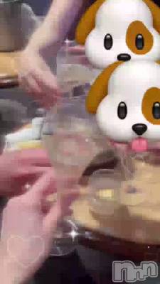 🐶🐱🐰