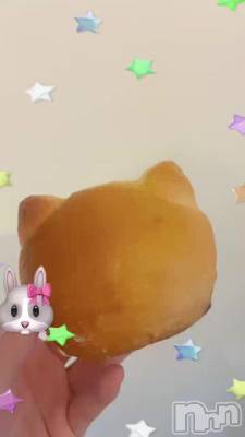 🐈🐾💖