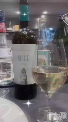 ���꡼����🐟🐟🐟