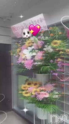 ���꤬�Ȥ��������ޤ���🐰💐✨