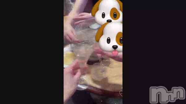 ��🐶🐱🐰��