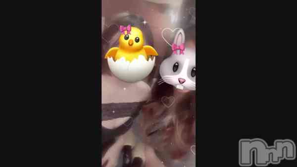 ��ƣ��������🐈🐈‍⬛💝��