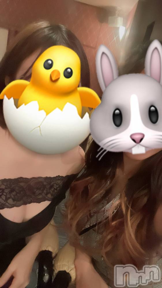 ��Į����Х��顦�����Daphne(���ե�) �椫��4��10���̥�֥������������ޤ��Ƥν�ж�✨��