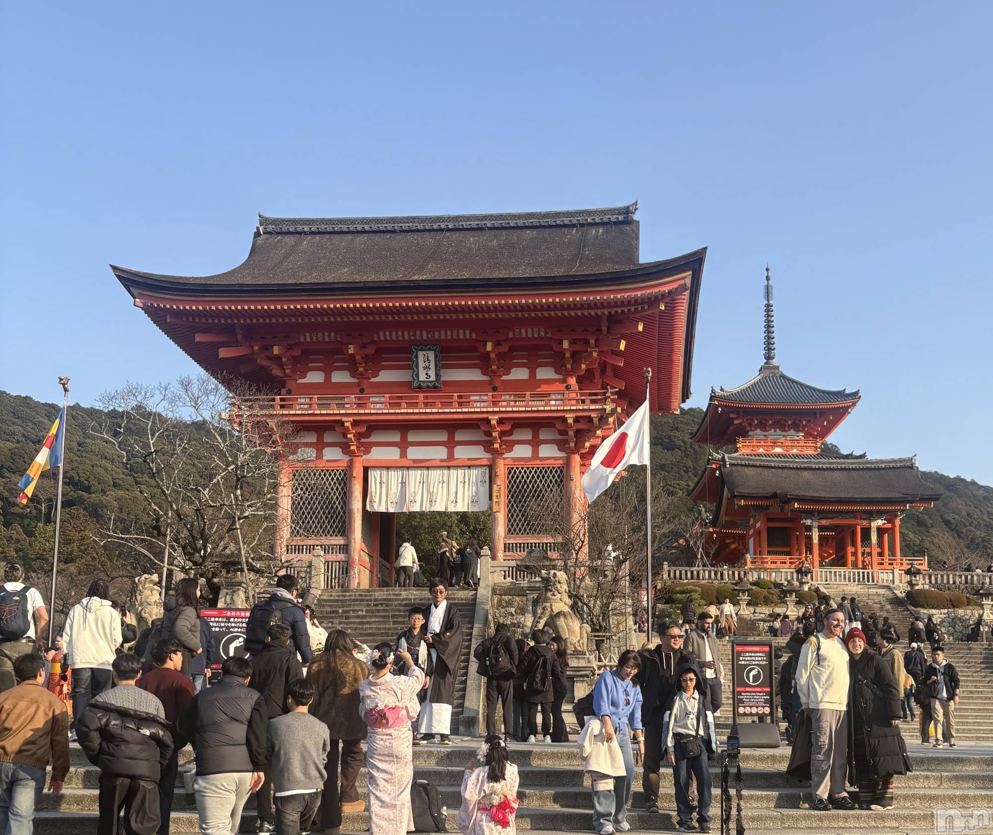 ��Į����Х��顦�����Daphne(���ե�) ��2026ǯ2��7���̥�֥�����ι��✈️��