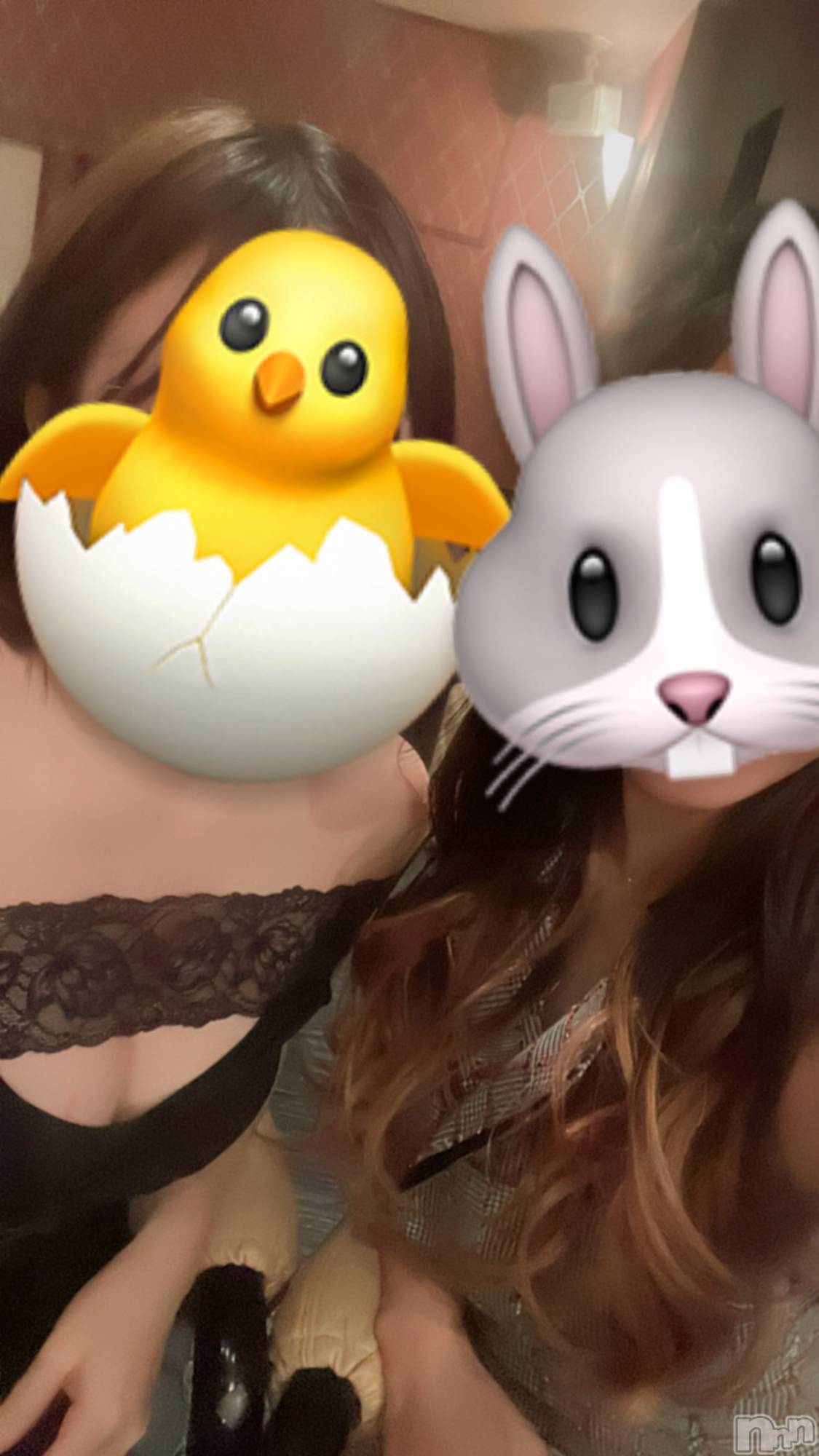 ��Į����Х��顦�����Daphne(���ե�) ��2026ǯ4��10���̥�֥������������ޤ��Ƥν�ж�✨��