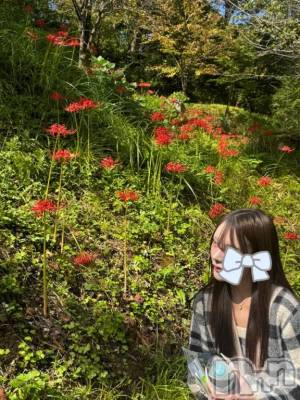 長岡デリヘル ROOKIE(ルーキー) ぴょな(20)の10月2日写メブログ「🎀お礼日記🎀」