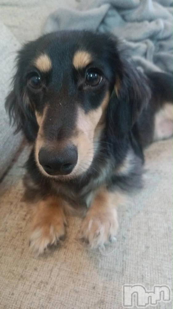 新潟デリヘル奥様特急 新潟店(オクサマトッキュウニイガタテン) はるか(24)の11月6日写メブログ「まだかなぁ～」