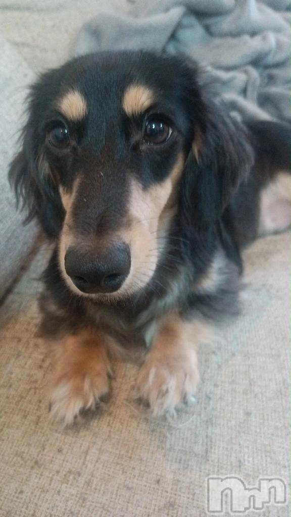 新潟デリヘル奥様特急 新潟店(オクサマトッキュウニイガタテン)はるか(24)の2025年11月6日写メブログ「まだかなぁ～」