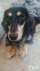 新潟デリヘル奥様特急 新潟店(オクサマトッキュウニイガタテン) はるか(24)の11月6日写メブログ「まだかなぁ～」