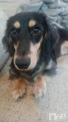 新潟デリヘル 奥様特急 新潟店(オクサマトッキュウニイガタテン) はるか(24)の11月6日写メブログ「まだかなぁ～」