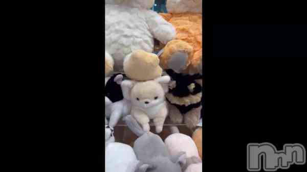 ��🦊🐾��