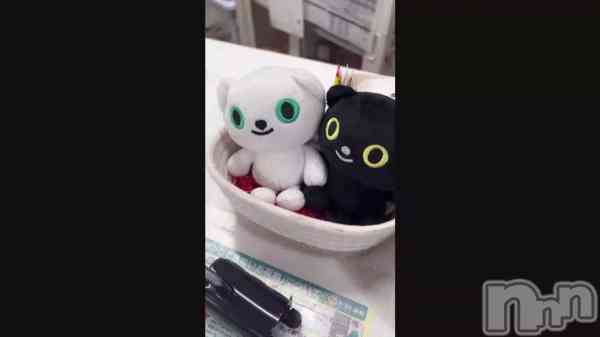 ��🐈‍⬛📦��