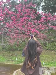 長岡デリヘルROOKIE(ルーキー) すばる(20)の3月20日写メブログ「趣味🎀」