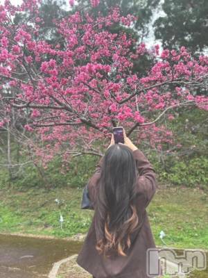 長岡デリヘル ROOKIE(ルーキー) すばる(20)の3月20日写メブログ「趣味🎀」