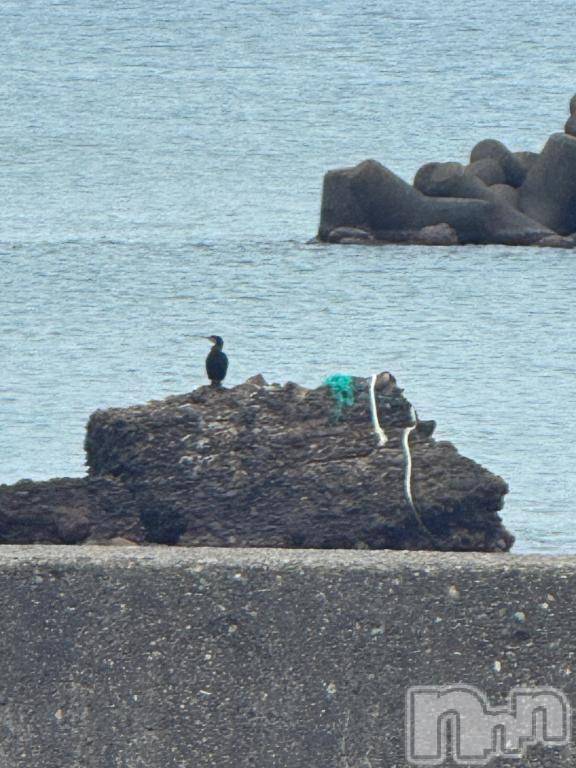 長岡デリヘルBIANCA～主人の知らない私～長岡店(ビアンカナガオカテン) 笹川　こと(33)の10月27日写メブログ「明日出勤します！(この鳥、、)」