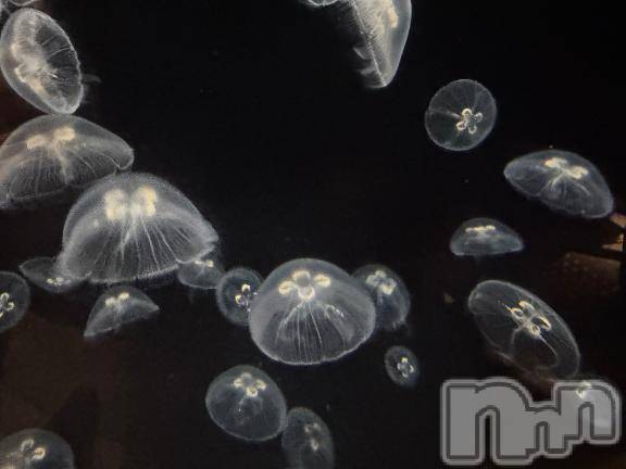 長岡デリヘルBIANCA～主人の知らない私～長岡店(ビアンカナガオカテン) 笹川　こと(33)の11月26日写メブログ「♡明日出勤します♡」