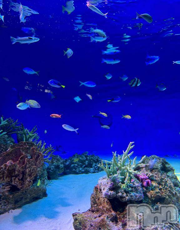 長岡デリヘルBIANCA～主人の知らない私～長岡店(ビアンカナガオカテン)笹川　こと(33)の2026年3月16日写メブログ「お礼と明日！」