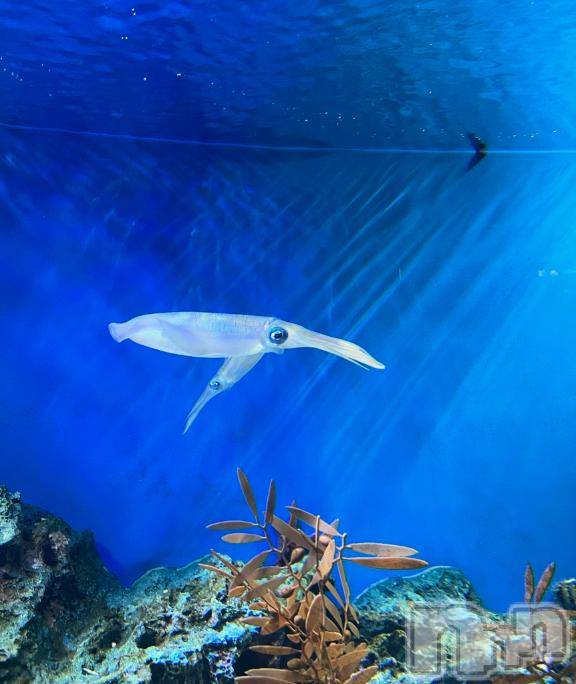 長岡デリヘルBIANCA～主人の知らない私～長岡店(ビアンカナガオカテン)笹川　こと(33)の2026年3月17日写メブログ「今日のお礼と明日の予約♡」