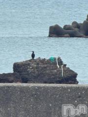 長岡デリヘルBIANCA～主人の知らない私～長岡店(ビアンカナガオカテン) 笹川　こと(33)の10月27日写メブログ「明日出勤します！(この鳥、、)」