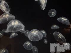 長岡デリヘルBIANCA～主人の知らない私～長岡店(ビアンカナガオカテン) 笹川　こと(33)の11月26日写メブログ「♡明日出勤します♡」