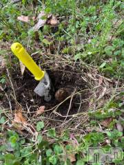 長岡デリヘルBIANCA～主人の知らない私～長岡店(ビアンカナガオカテン) 笹川　こと(33)の4月9日写メブログ「庭で…」