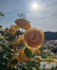 長岡デリヘルBIANCA～主人の知らない私～長岡店(ビアンカナガオカテン) 笹川　こと(33)の7月24日写メブログ「明日🥰」