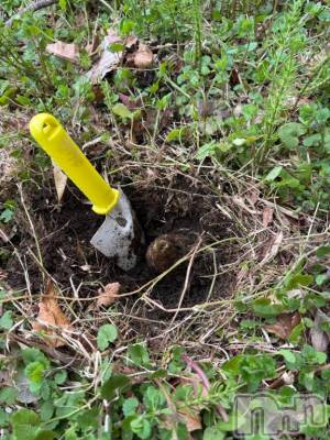 長岡デリヘル BIANCA～主人の知らない私～長岡店(ビアンカナガオカテン) 笹川　こと(33)の4月9日写メブログ「庭で…」