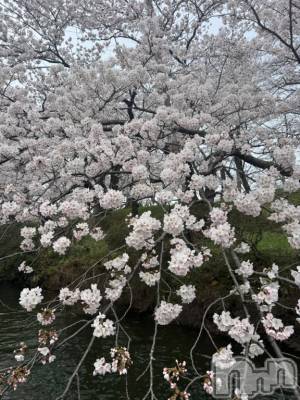 長岡デリヘル BIANCA～主人の知らない私～長岡店(ビアンカナガオカテン) 笹川　こと(33)の4月16日写メブログ「イベント初日に咳😵‍💫」