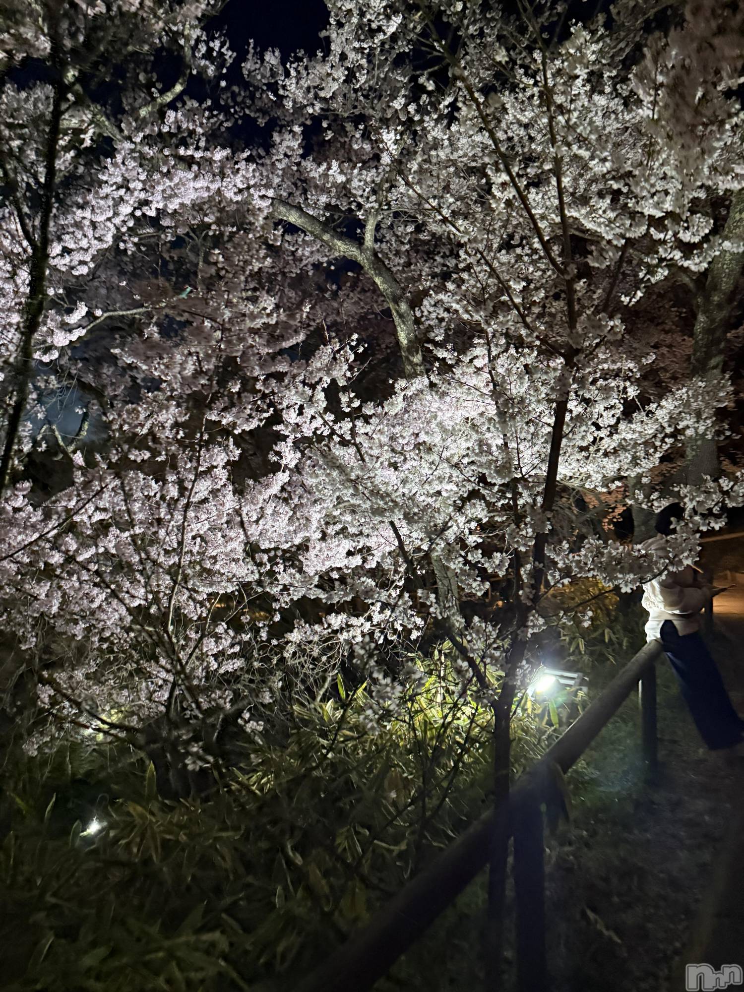 ���ᥭ��Х��顦�����CLUB ASLI(����֥�����) ��2026ǯ4��6���̥�֥����֤���衼���