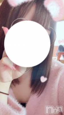 ʤ(ҥߥ) Ĺҥߥġʥå륺С Girls Bar Philia(륺Сեꥢ)ҡ