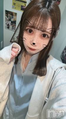 ���(�ҥߥ�) ��Ĺ�ҥߥġ�����������ʥå��������륺�С� Girls Bar Philia(�����륺�С��ե��ꥢ)���ҡ�