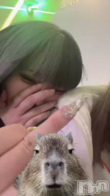 ���פ��֤�Ǥ�🥲