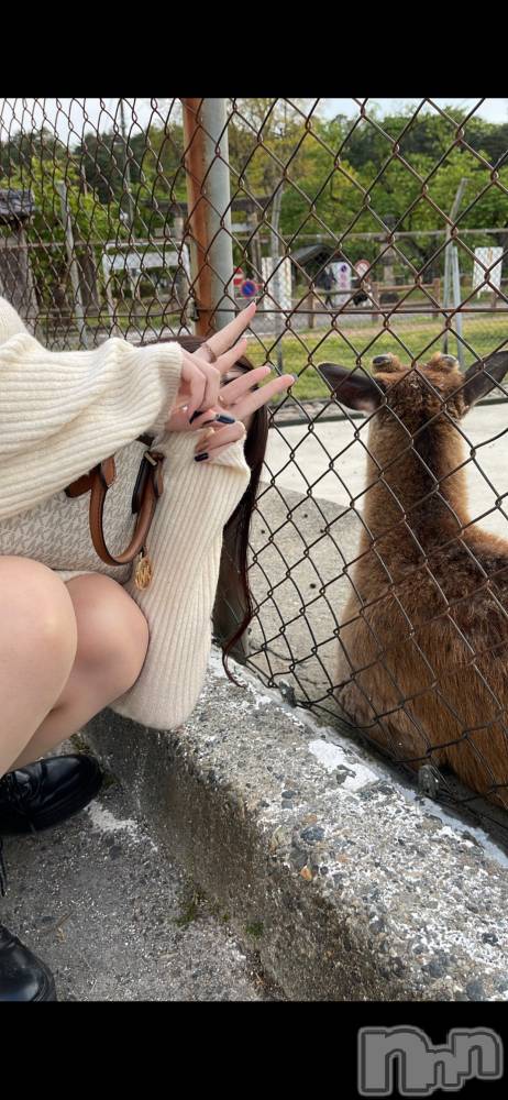 Х顦GRAND ROUGE(롼) ʤ124̥֥֤äƤ‼️