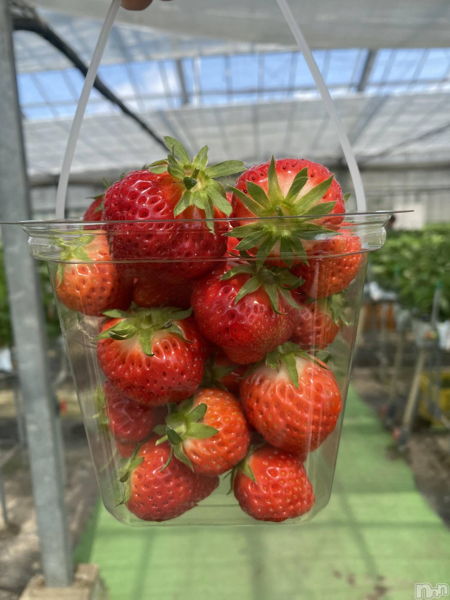 �����������Х��顦�����GRAND ROUGE(�����롼����) ��2026ǯ1��30���̥�֥����ֳ𤤤ޤ��褦��✨��