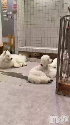 �İ������ƺ���🥹🥹