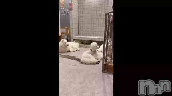 ֲİƺ&#x1F979;&#x1F979;