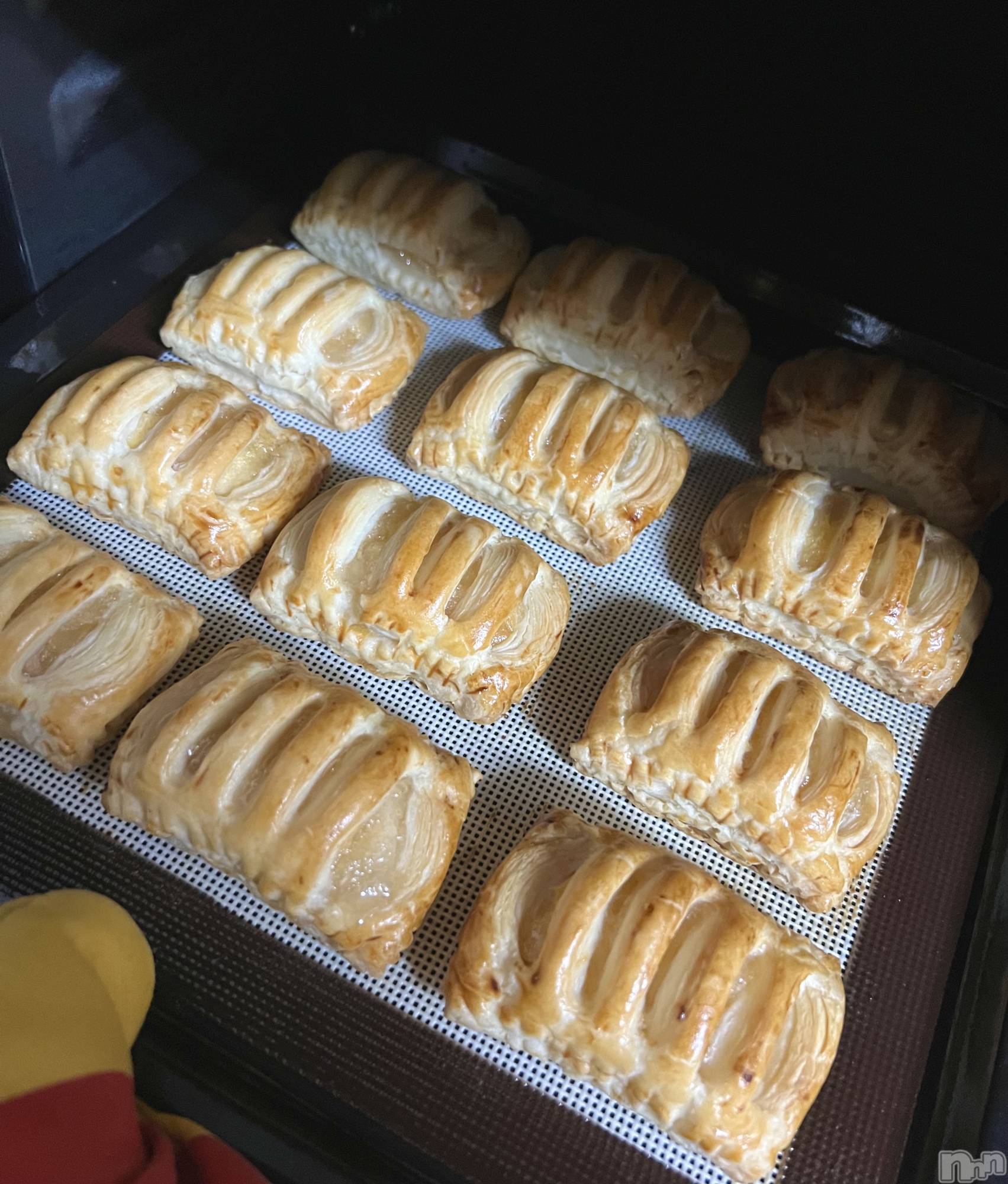 ƲХ顦֥ ץ Ĺ( ץ ʥ) 2025ǯ1029̥֥🍎