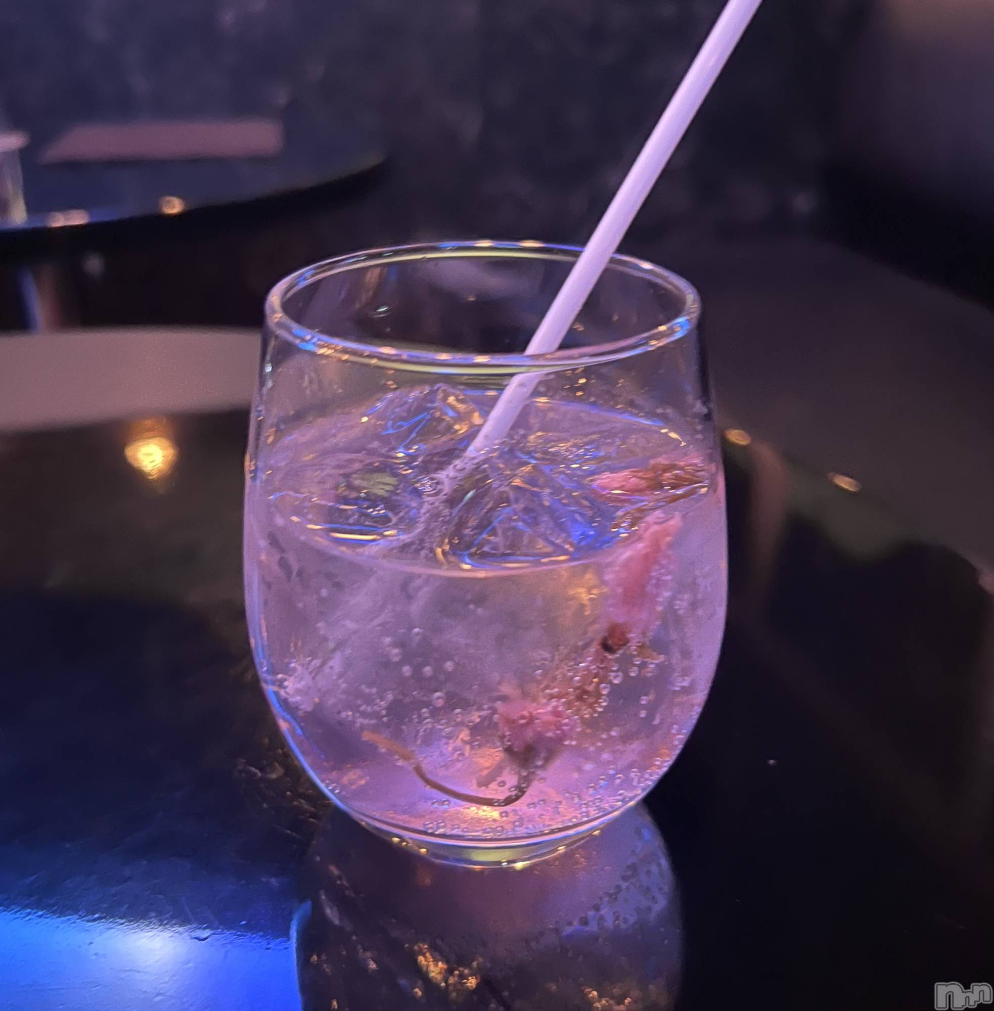 ��Ʋ����Х��顦����֥���� �ץ���� Ĺ��(����� �ץ���� �ʥ���) ��2026ǯ4��22���̥�֥����ֺ��ե�����