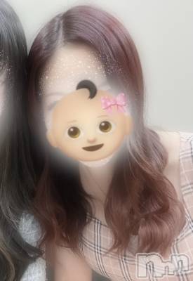 ��Ʋ����Х��顦����֥���� �ץ���� Ĺ��(����� �ץ���� �ʥ���) ����12��1���̥�֥����֤⤦��